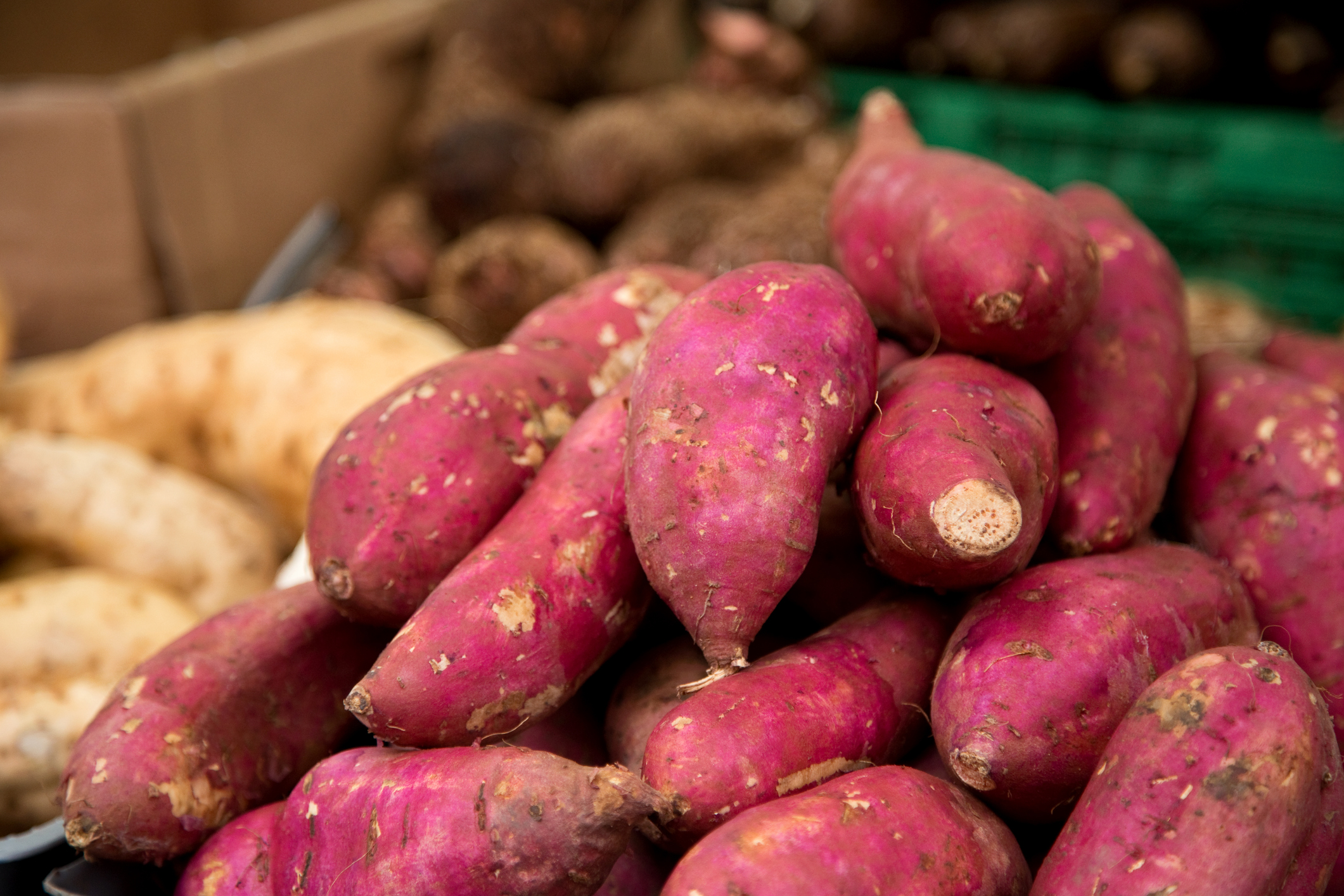 Sweet Potato