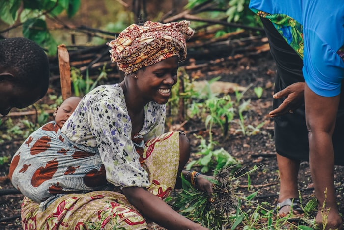 Farm worker tending crops by hand